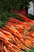 Enzie Shahmiri - Carrot Bounty