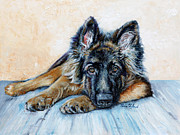 Enzie Shahmiri - German Shepherd