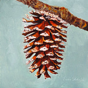 Enzie Shahmiri - Pine Cone