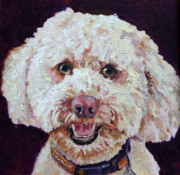 Enzie Shahmiri - The Labradoodle